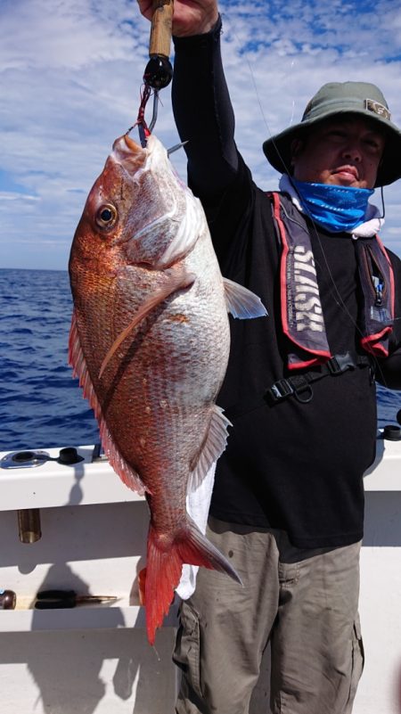 ARCADIAⅡ (アルカディアⅡ) 釣果