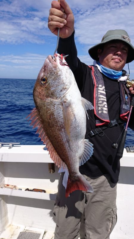 ARCADIAⅡ (アルカディアⅡ) 釣果