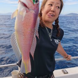 ARCADIAⅡ (アルカディアⅡ) 釣果