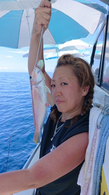 ARCADIAⅡ (アルカディアⅡ) 釣果