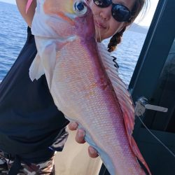 ARCADIAⅡ (アルカディアⅡ) 釣果