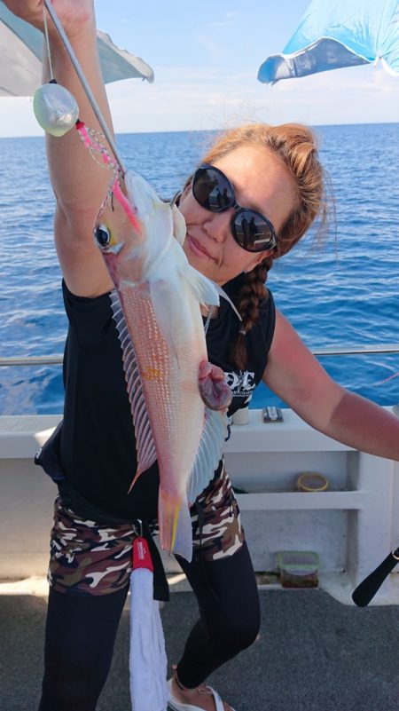 ARCADIAⅡ (アルカディアⅡ) 釣果