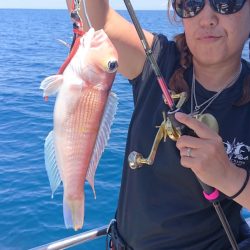 ARCADIAⅡ (アルカディアⅡ) 釣果