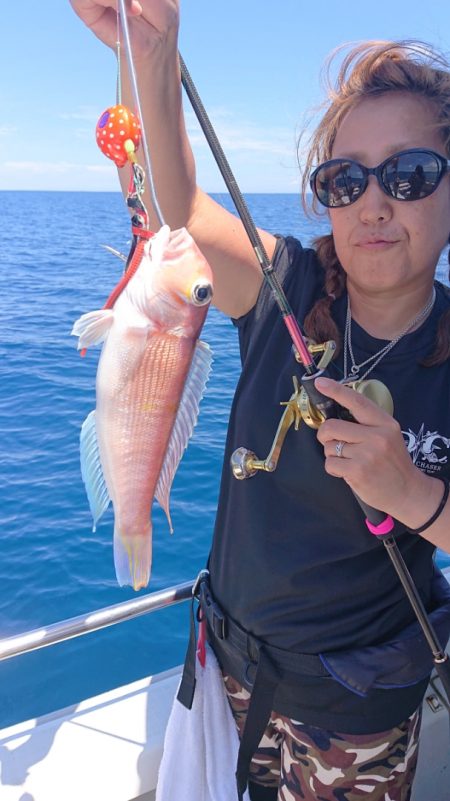 ARCADIAⅡ (アルカディアⅡ) 釣果