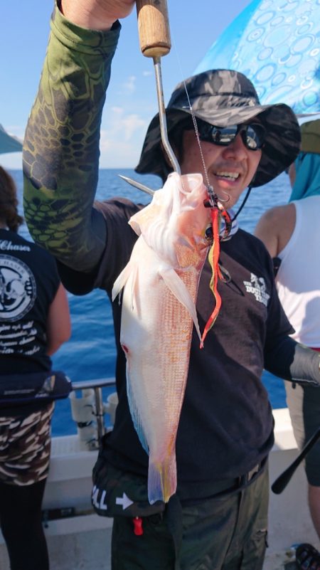 ARCADIAⅡ (アルカディアⅡ) 釣果