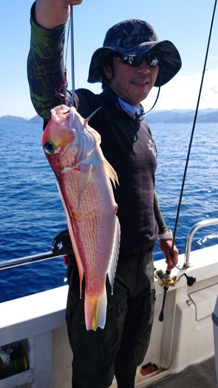 ARCADIAⅡ (アルカディアⅡ) 釣果