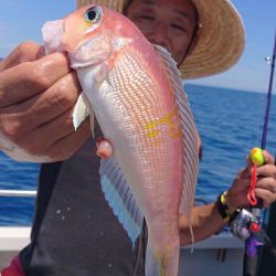 ARCADIAⅡ (アルカディアⅡ) 釣果