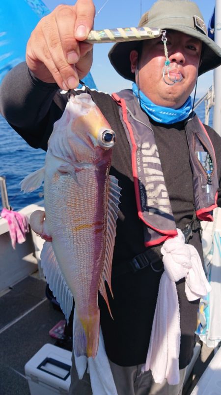 ARCADIAⅡ (アルカディアⅡ) 釣果