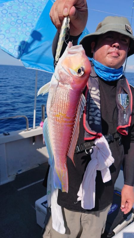 ARCADIAⅡ (アルカディアⅡ) 釣果