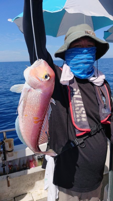 ARCADIAⅡ (アルカディアⅡ) 釣果