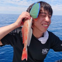 ARCADIAⅡ (アルカディアⅡ) 釣果