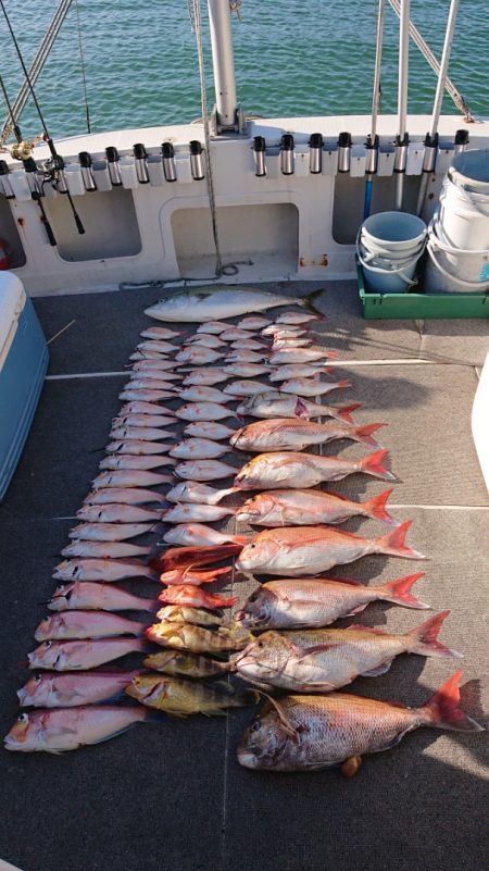 ARCADIAⅡ （アルカディアⅡ） 釣果…