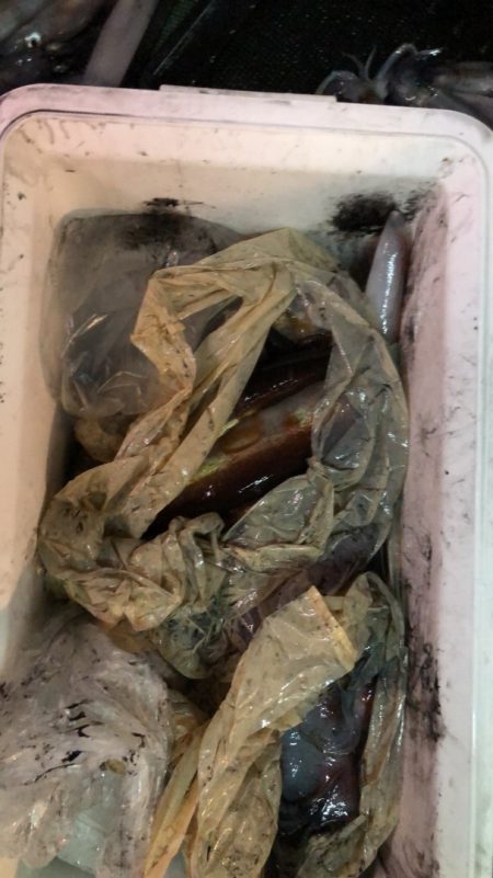 海龍丸（石川） 釣果