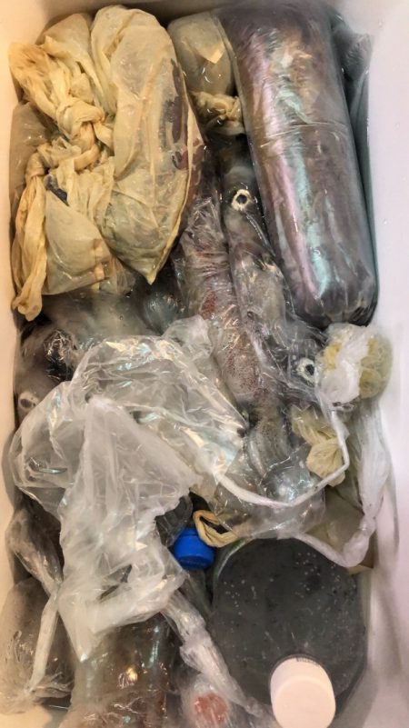 海龍丸（石川） 釣果