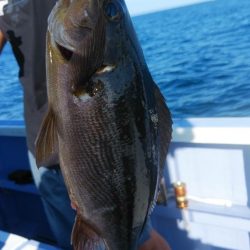 新幸丸 釣果