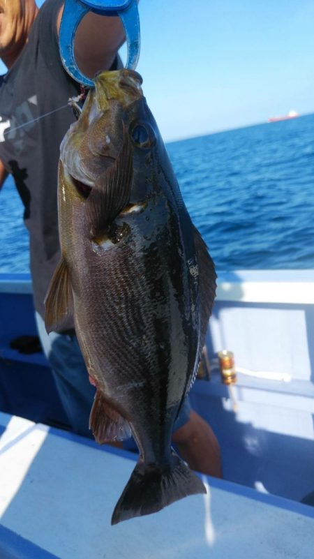 新幸丸 釣果