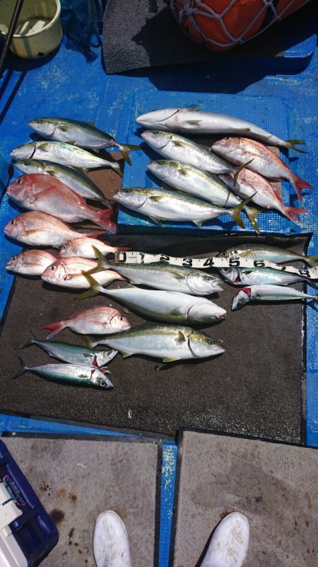 清和丸 釣果