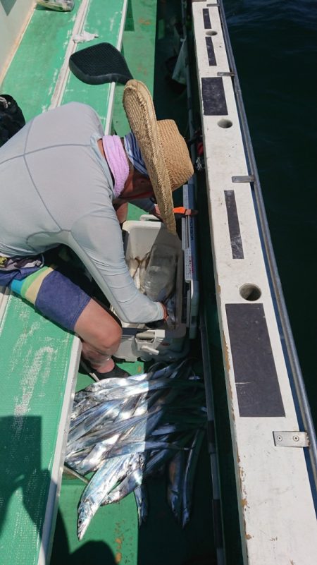 金沢八景鴨下丸 釣果