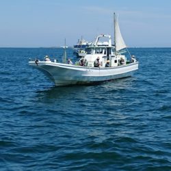 金沢八景鴨下丸 釣果