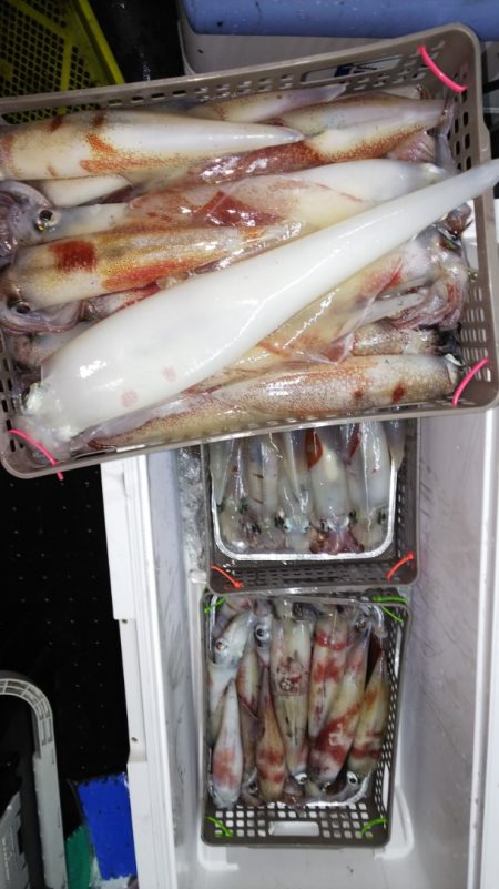 第二龍勢丸 釣果