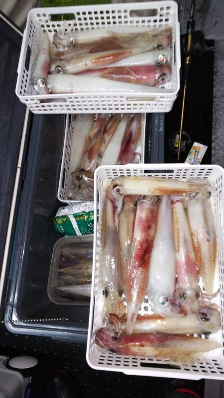 第二龍勢丸 釣果