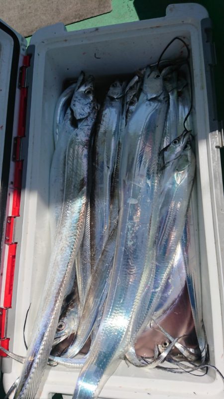 金沢八景鴨下丸 釣果