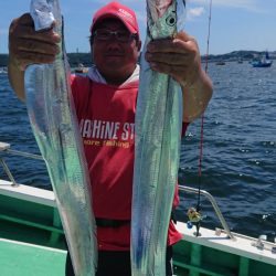 金沢八景鴨下丸 釣果