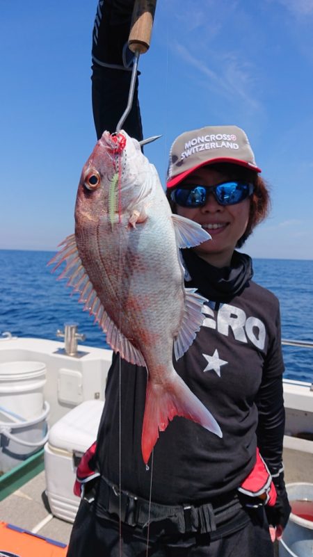 ARCADIAⅡ （アルカディアⅡ） 釣果