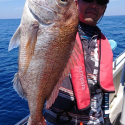 ARCADIAⅡ （アルカディアⅡ） 釣果