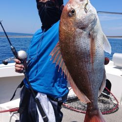 ARCADIAⅡ （アルカディアⅡ） 釣果