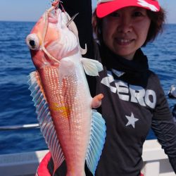 ARCADIAⅡ （アルカディアⅡ） 釣果