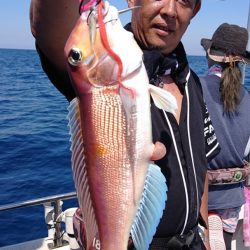 ARCADIAⅡ （アルカディアⅡ） 釣果