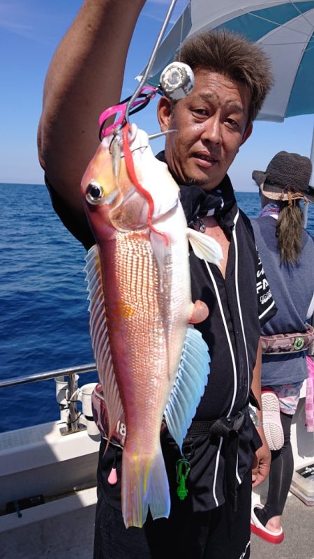 ARCADIAⅡ （アルカディアⅡ） 釣果