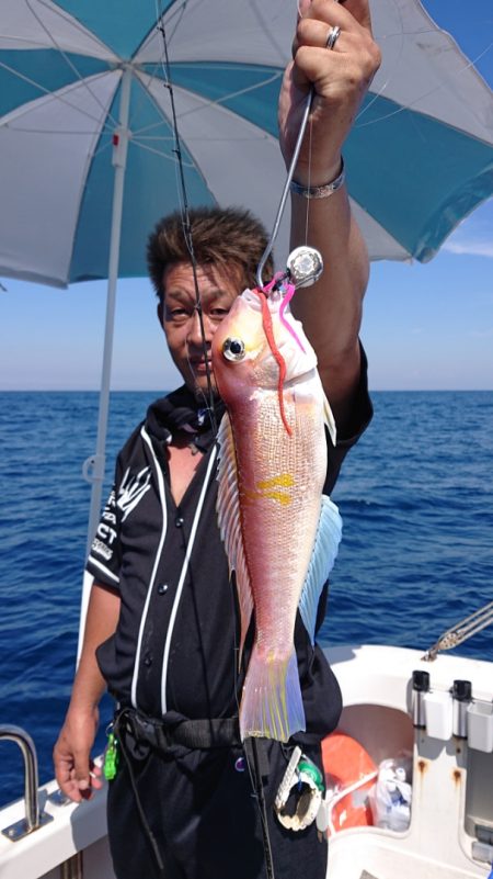 ARCADIAⅡ （アルカディアⅡ） 釣果