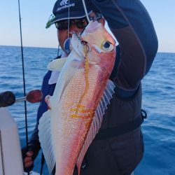 ARCADIAⅡ （アルカディアⅡ） 釣果