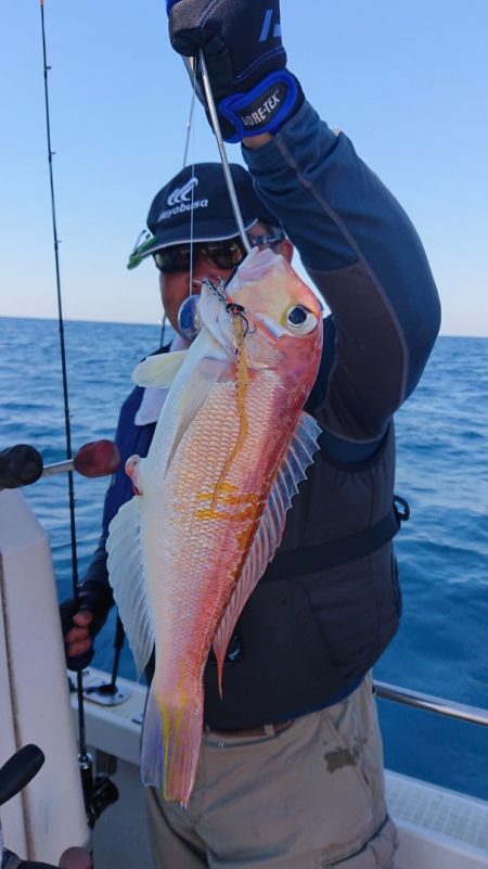 ARCADIAⅡ （アルカディアⅡ） 釣果