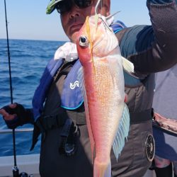 ARCADIAⅡ （アルカディアⅡ） 釣果