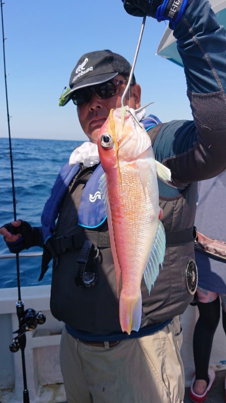 ARCADIAⅡ （アルカディアⅡ） 釣果