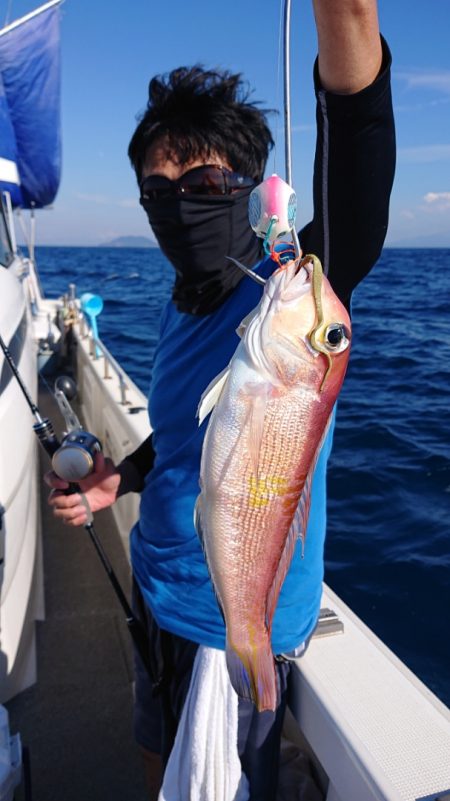 ARCADIAⅡ （アルカディアⅡ） 釣果