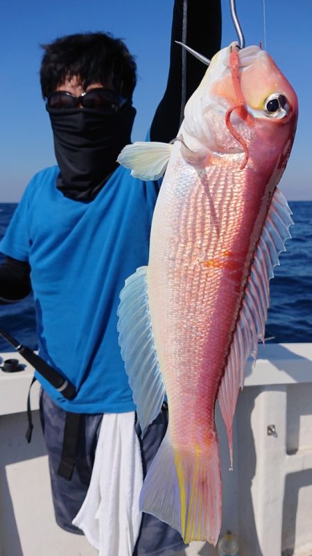 ARCADIAⅡ （アルカディアⅡ） 釣果