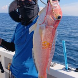 ARCADIAⅡ （アルカディアⅡ） 釣果