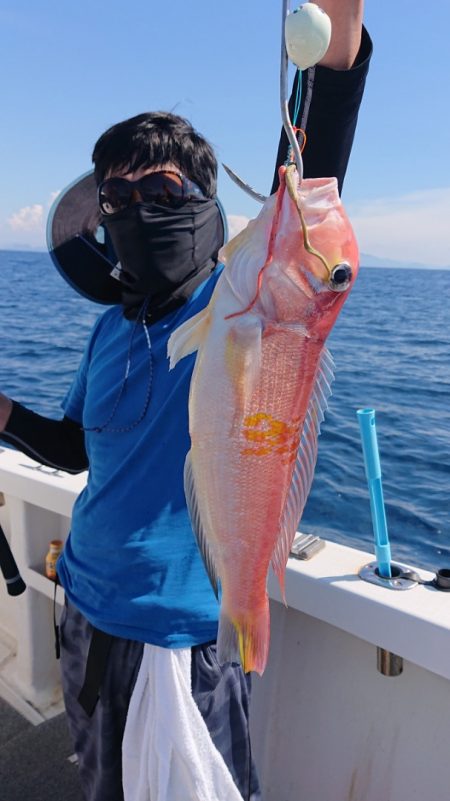 ARCADIAⅡ （アルカディアⅡ） 釣果