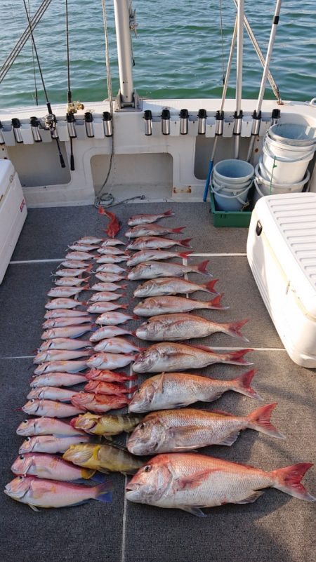 ARCADIAⅡ （アルカディアⅡ） 釣果…