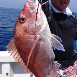 ARCADIAⅡ (アルカディアⅡ) 釣果