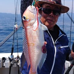 ARCADIAⅡ (アルカディアⅡ) 釣果