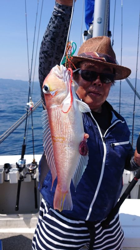 ARCADIAⅡ (アルカディアⅡ) 釣果