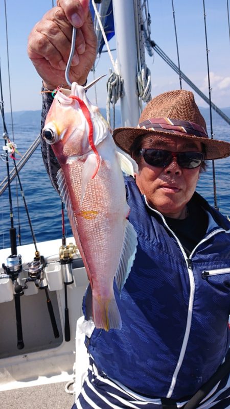 ARCADIAⅡ (アルカディアⅡ) 釣果