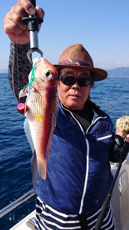 ARCADIAⅡ (アルカディアⅡ) 釣果