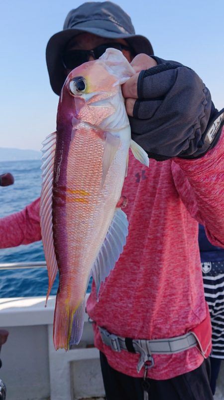 ARCADIAⅡ (アルカディアⅡ) 釣果