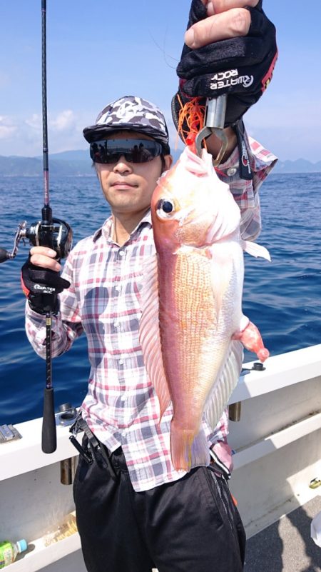 ARCADIAⅡ (アルカディアⅡ) 釣果